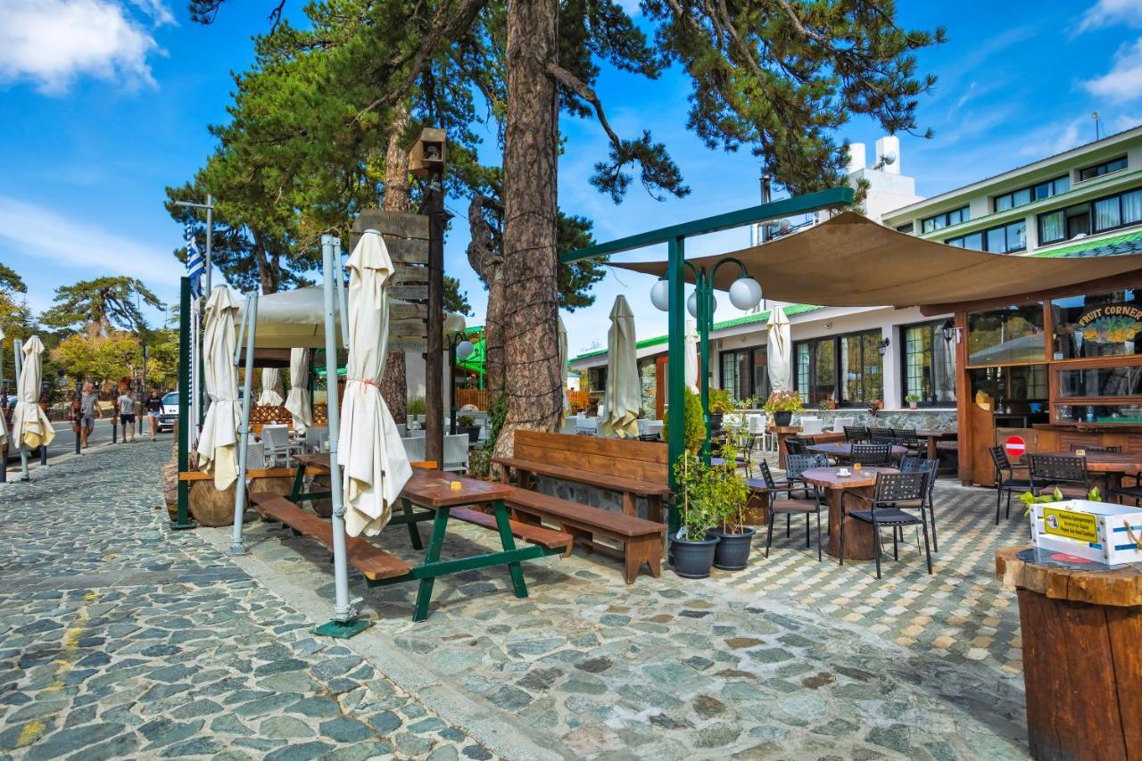 Troodos Hotel & Spa Exteriér fotografie